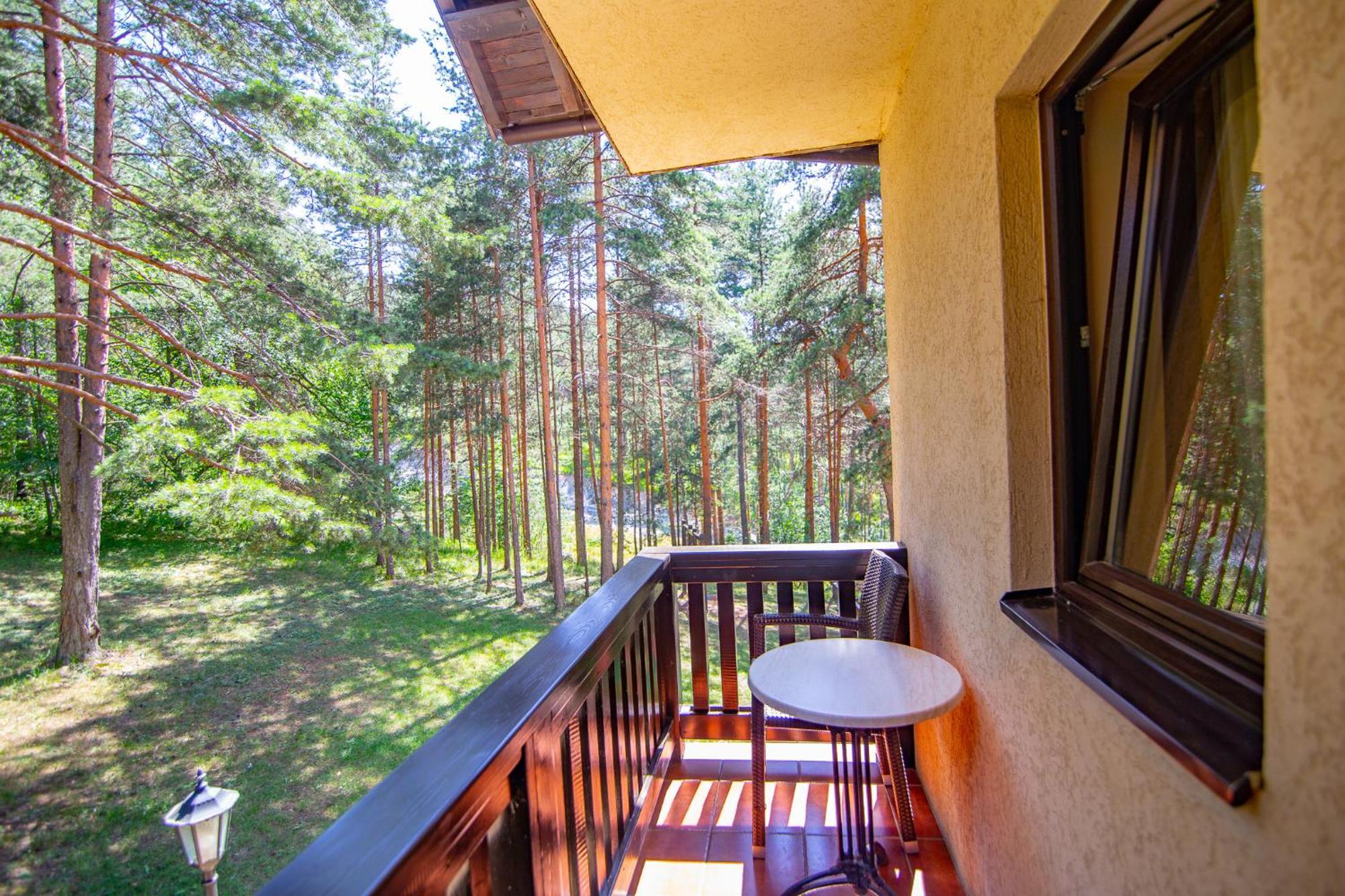 Vila Pina Apartment Zlatibor Exterior photo